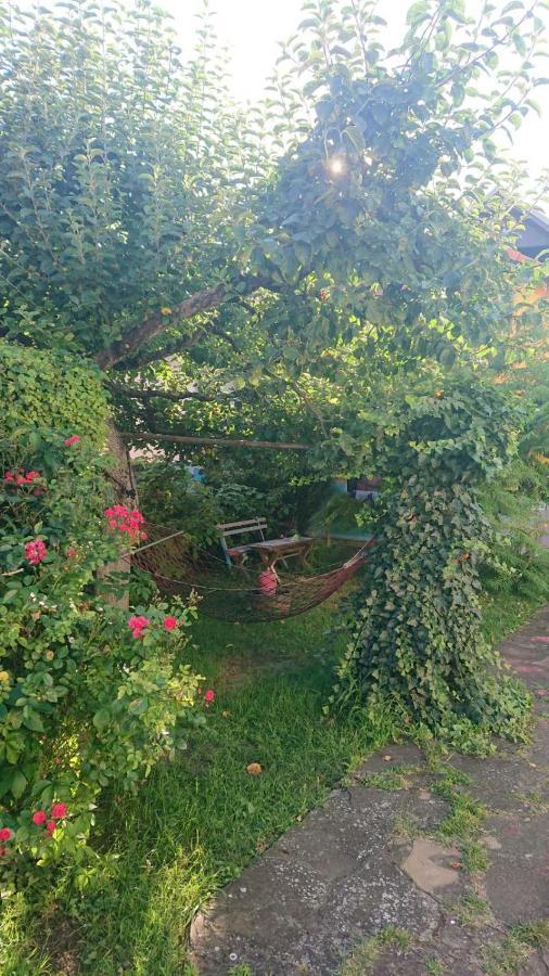 Apartamento Garickina Kuca Pirot Exterior foto