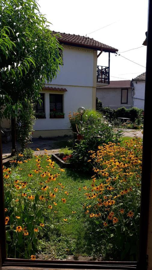 Apartamento Garickina Kuca Pirot Exterior foto