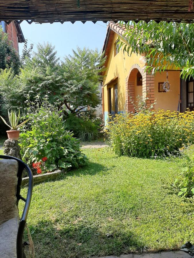 Apartamento Garickina Kuca Pirot Exterior foto
