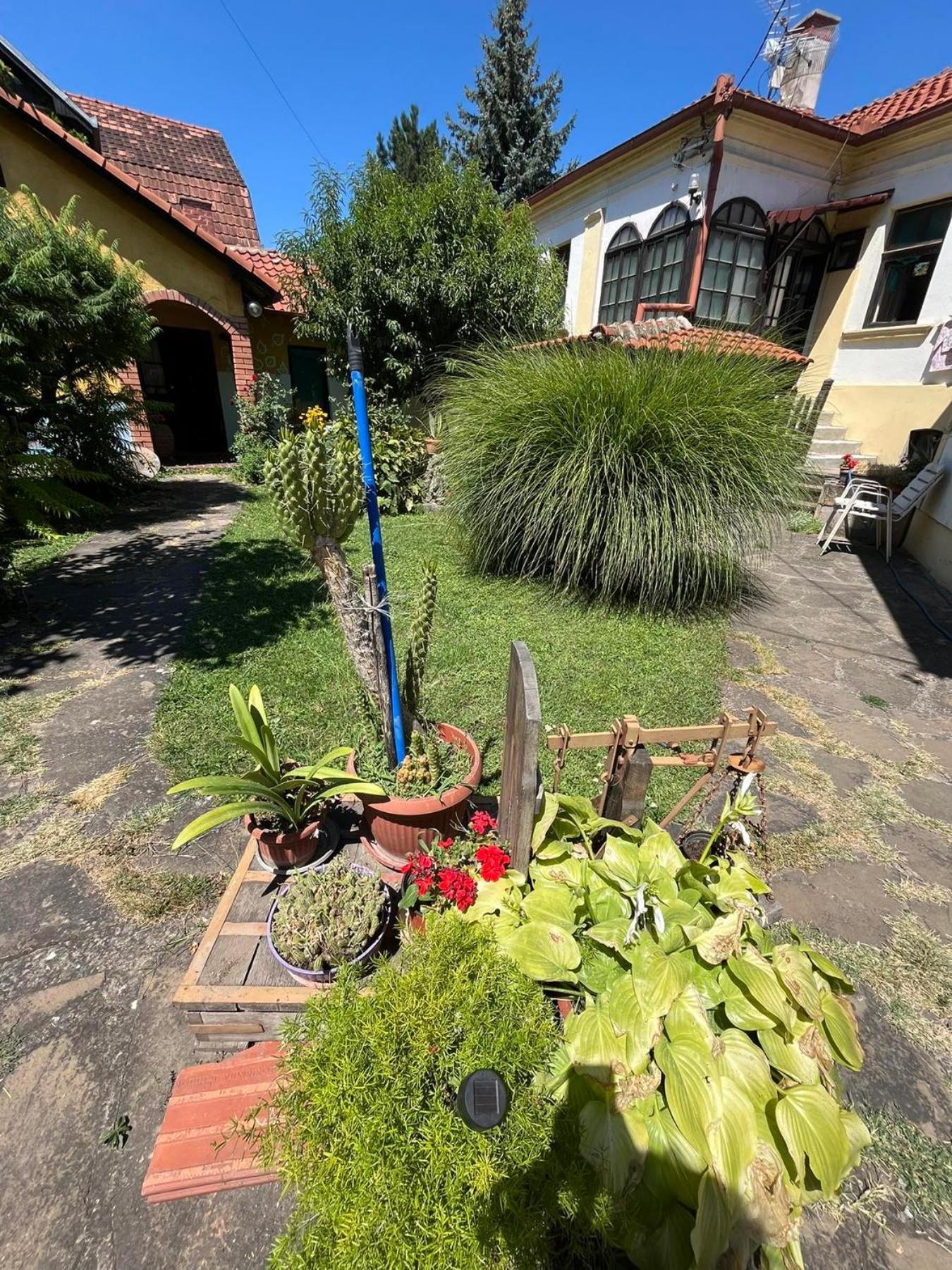 Apartamento Garickina Kuca Pirot Exterior foto